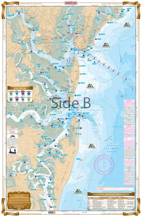 Jacksonville_to_Brunswick_Inshore_Fishing_Chart_36F_Side_B