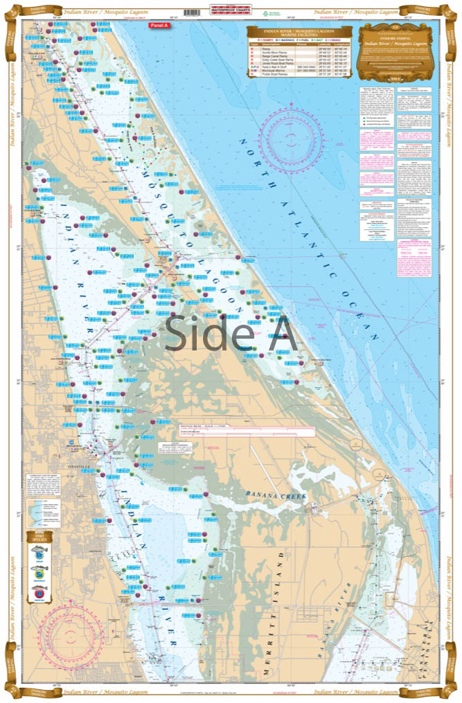 Florida Atlantic Depth Chart