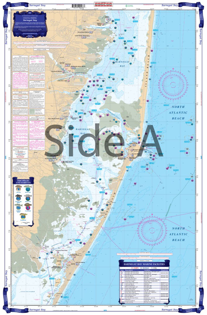 Charts & Maps Waterproof Charts 56F Barnegat Bay Coastal Fishing