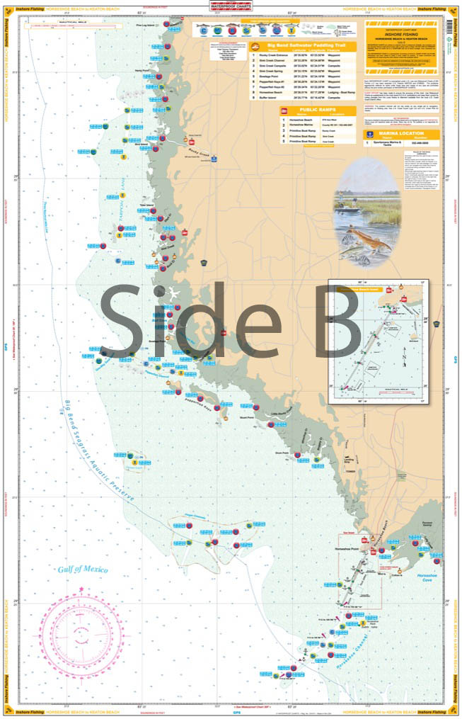 Big Bend Offshore Fish And Dive Chart 18F