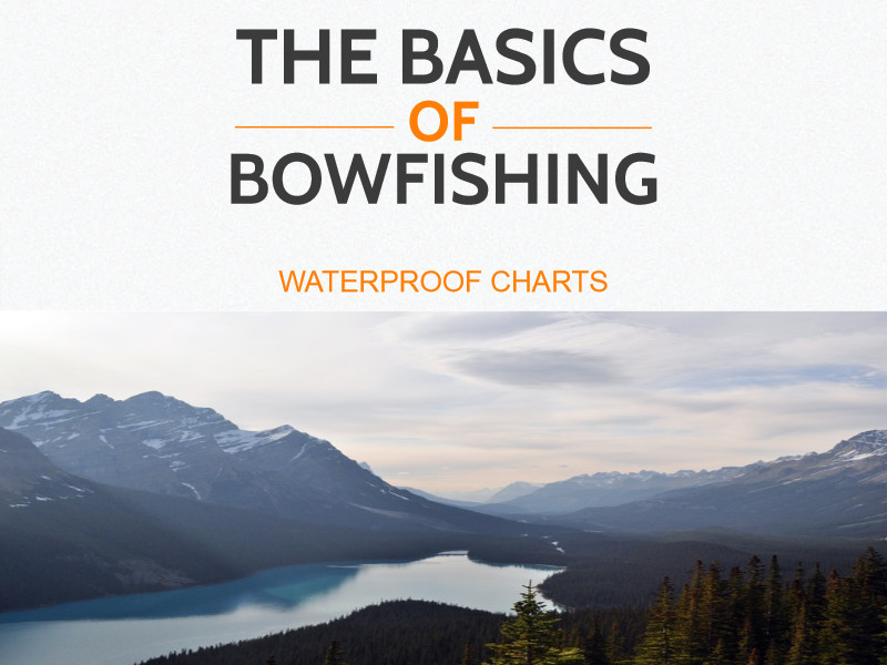 Bowfishing Basics