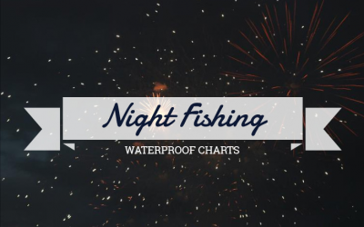 Night Fishing Tips