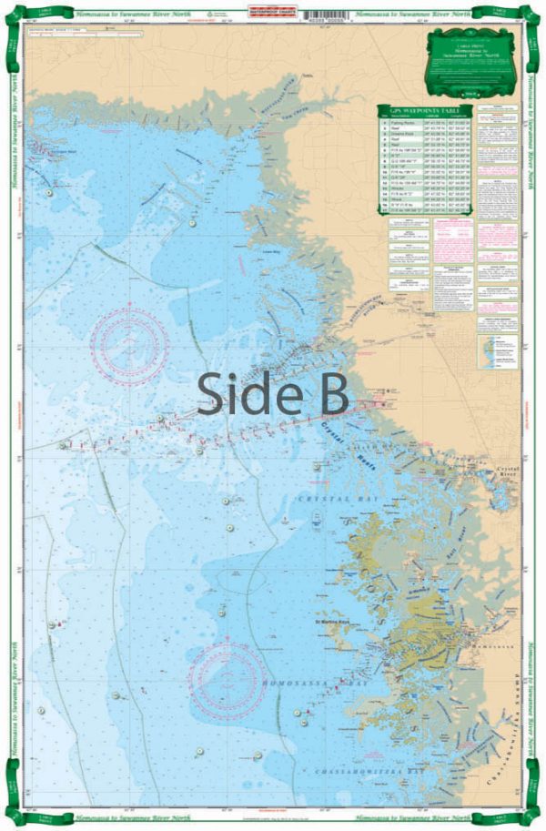Homosassa_Bay_to_Suwanee_River_Large_Print_Navigation_Map_5E_Side_B